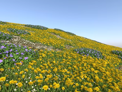 Scenic Sunny Hillside Flower Field With Vibrant Yellow Purple Flowers Under Blue Sky 3d model