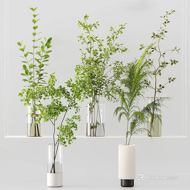 Green Foliage Arranged in Transparent White Vases on Light Background Shelf 3d model 