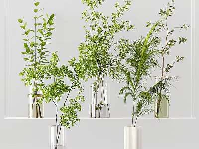 Green Foliage Arranged in Transparent White Vases on Light Background Shelf 3d model