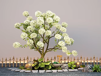 Chinese wood hydrangea large shrub flower border plant Tingbu landscape sketch 3d model