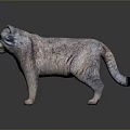 Detailed Fluffy Gray Cat Standing With Alert Expression In Realistic 3D Rendering