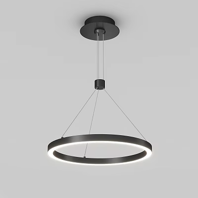 Modern Black Circular Pendant Light With White Illumination And Hanging Design 3d model