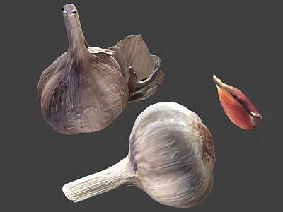 Fresh Organic Garlic Vegetables Including Whole Bulbs Peeled Cloves And Single Clove 3d model
