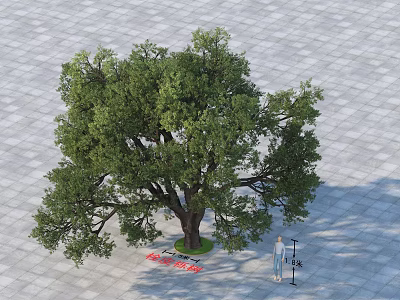 Large Arbor in Gray Tiled Square with Thick Trunk Lush Foliage Green Lawn Human Figure 3d model