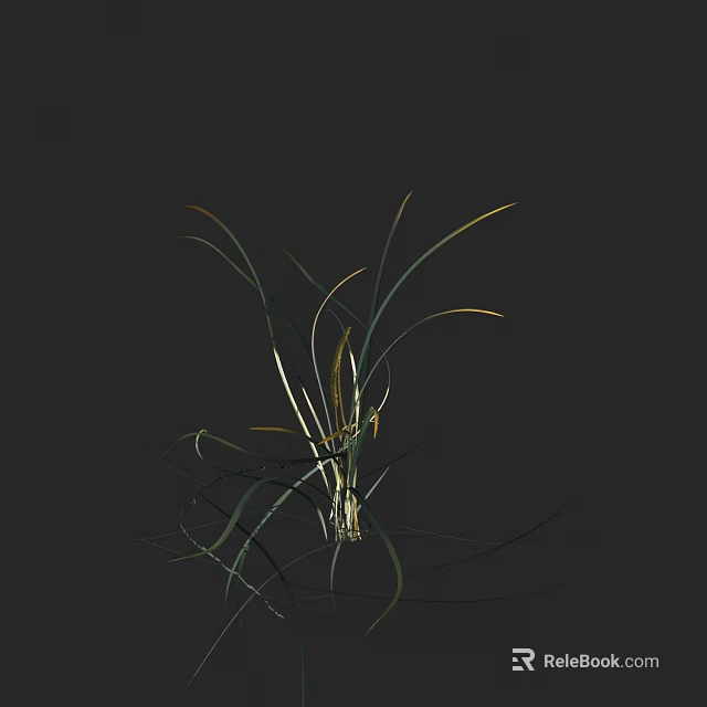 Slender Green Leaf Plant With Yellow Spike Flowers On Black Background 3d model 