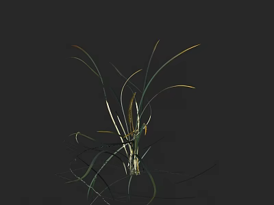 Slender Green Leaf Plant With Yellow Spike Flowers On Black Background 3d model