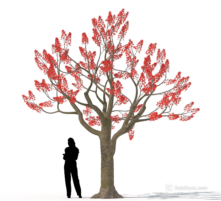 Tree With Red Flowers And Silhouette Of A Person Standing Under 3d model 