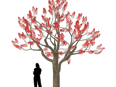 Tree With Red Flowers And Silhouette Of A Person Standing Under 3d model