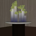 Modern Interior With Transparent Vases And Green Flowers On White Round Table By Wooden Wall