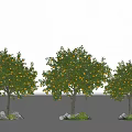 Three Arbor Trees with Orange Fruits Surrounded by Stones and Green Plants