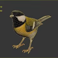 Colorful Bird With Black Head White Cheek Yellow Body Blue Gray Wings And Orange Claws
