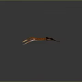 Red Pterosaur Creature With Large Wings Long Tail And Pointed End Flying