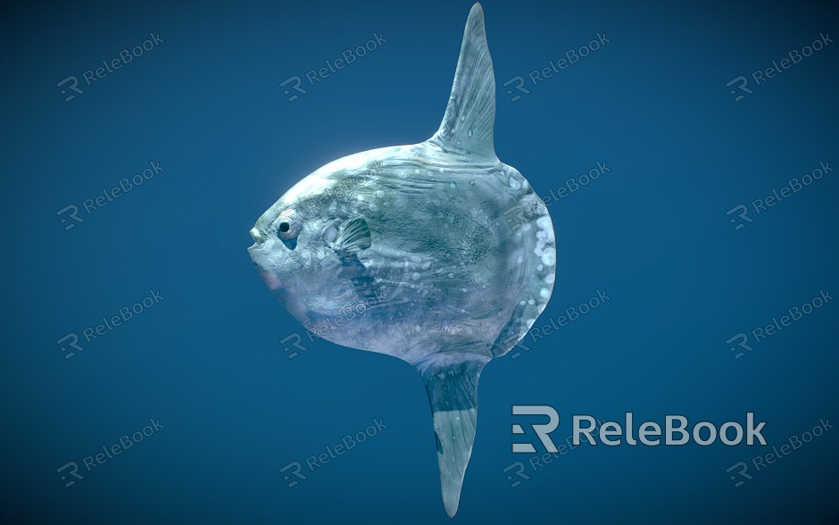 sunfish rollover puffer marine fish ornamental fish model