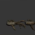 Animal Claw With Spiked Projections And Rough Textured Surface Design