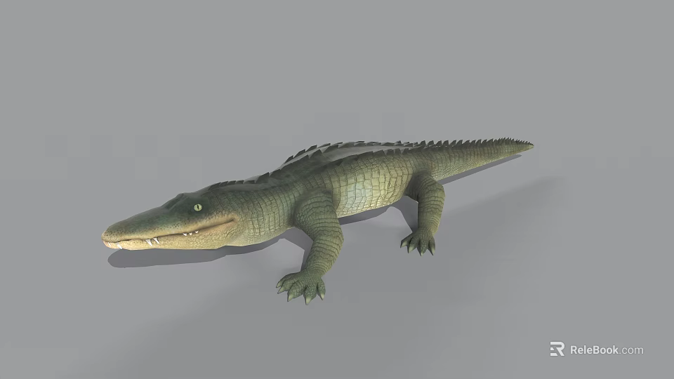 Realistic Crocodile Reptile Model With Green Scales Open Mouth And Gray Background 3d model 