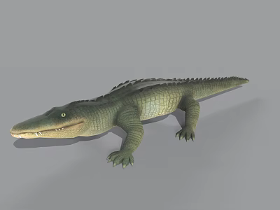 Realistic Crocodile Reptile Model With Green Scales Open Mouth And Gray Background 3d model