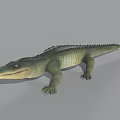 Realistic Crocodile Reptile Model With Green Scales Open Mouth And Gray Background