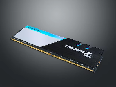 TRENDnet Computer RAM Module With Black White Heat Sink And Blue Accent 3d model