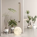 Indoor Fern And Palm Potted Plants In White Textured Pots For Minimalist Home Decor