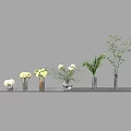 Various Vase And Flower Arrangement On Dark Table With Green Leaves And White Blooms