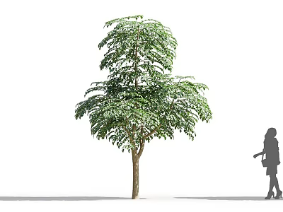 Tall Lush Green Leafy Arbor With Brown Trunk And Human Silhouette 3d model