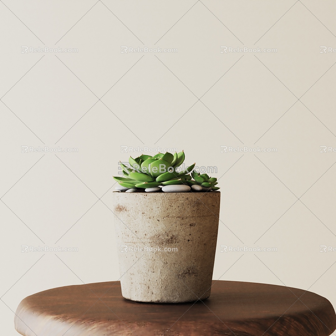 Modern Potted Plant 3d model