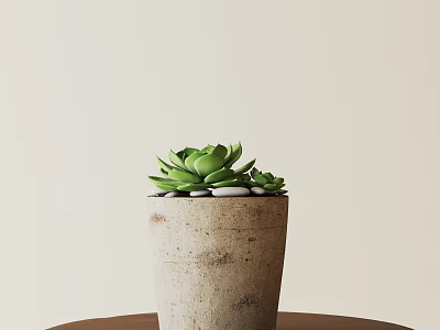 Green Succulent Bonsai Potted Plant in Light Clay Pot with Small Stones on Brown Table 3d model