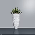 Potted Plant in White Textured Vase on Smooth Gray Surface with Light Gray Wall Background