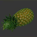 Fresh Ripe Pineapple With Green Leaves And Golden Yellow Skin Against Dark Background