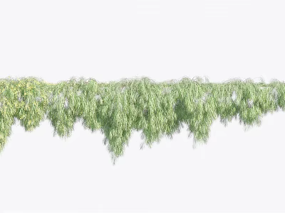 Lush Green Vines With Draping Foliage And Natural Texture For Decorative Accent 3d model