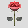 Vibrant Red Rose Plant With Green Stem And Leaves On Gray Background