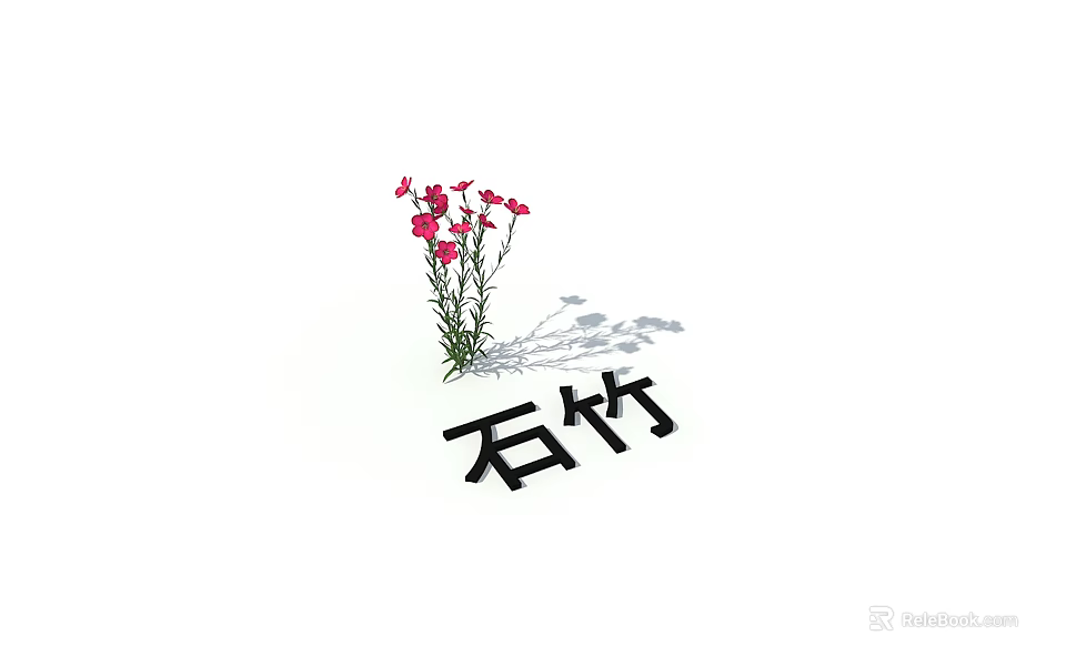 Blooming Pink Dianthus Flowers With Green Stems And Natural Shadow 3d model 