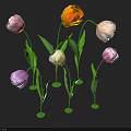 Blooming Multicolored Tulips with Green Stems and Leaves on Black Background