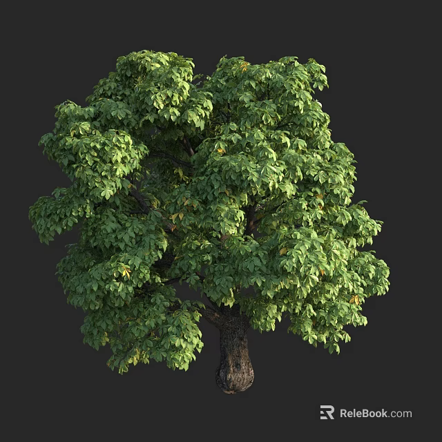 Lush Healthy Arbor Tree With Green Foliage Brown Trunk Isolated On Dark Background 3d model 