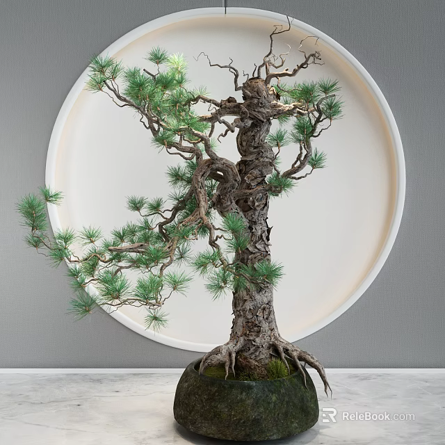 Pine Bonsai Tree with Twisted Trunk Green Foliage Exposed Roots and Round Background 3d model 