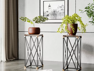Two Potted Bonsai Plants on Black Geometric Metal Stands in Modern Interior 3d model