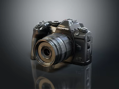 Olympus Professional Digital Camera With Large Aperture Lens And Ergonomic Grip Design 3d model