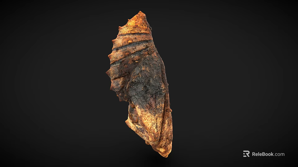 Ancient Textured Fossil Like Object With Brown Black Patterns On Black Background 3d model 