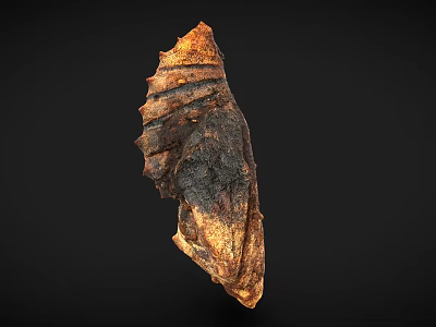 Ancient Textured Fossil Like Object With Brown Black Patterns On Black Background 3d model