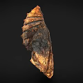 Ancient Textured Fossil Like Object With Brown Black Patterns On Black Background 3d model