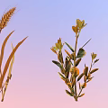 Wheat Plant And Small Shrubs With Green Leaves On Gradient Background 3d model