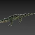 Realistic Crocodile Reptile Model With Green Scales Open Mouth And Gray Background