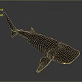 Giant Spotted Whale Shark Marine Animal With Streamlined Body Shape