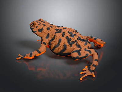 Orange And Black Spotted Frog Sitting On Dark Reflective Surface 3d model