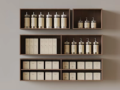 Home Storage Multiple Tiers Wooden Shelves With Metal Dispensers And Beige Boxes 3d model