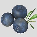 Modern Blueberry Fruit 3d model