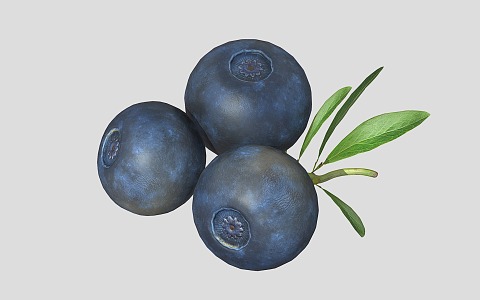 Modern Blueberry Fruit 3d model