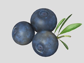 Modern Blueberry Fruit 3d model