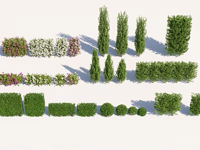 Various Ornamental Trees and Shrubs with Different Shapes for Garden Landscaping 3d model