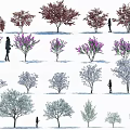 Different Varieties of Colorful Arbor Trees in Landscape Design with Silhouette Figures